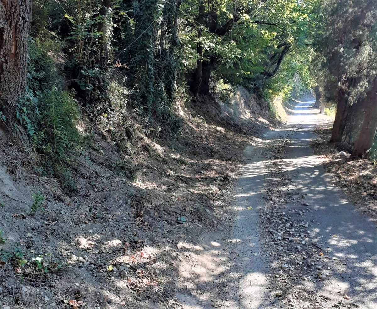 Strada cimitero Torreorsina - luglio 2020