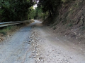 Strada Palombara - luglio 2020