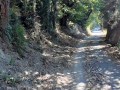 Strada cimitero Torreorsina - luglio 2020