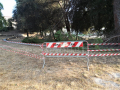 Degrado-rami-pericolanti-giardini-San-Giovanni-Terni-30-luglio-2020-5
