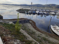 Degrado-alghe-sporco-lago-Trasimeno-Torricella-di-Magione-settembre-2020-4