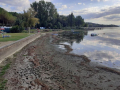 Degrado-alghe-sporco-lago-Trasimeno-Torricella-di-Magione-settembre-2020-6