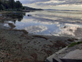 Degrado-alghe-sporco-lago-Trasimeno-Torricella-di-Magione-settembre-2020-8