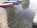Degrado-alghe-sporco-lago-Trasimeno-Torricella-di-Magione-settembre-2020-9