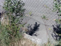 Degrado parco David Raggi villaggio Matteotti via Bandiera Terni - 28 luglio 2020 (5)
