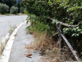 Degrado parco David Raggi villaggio Matteotti via Bandiera Terni - 28 luglio 2020 (7)