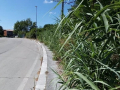 Degrado parco David Raggi villaggio Matteotti via Bandiera Terni - 28 luglio 2020 (8)