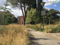 parco via mola bernardo degrado terni -20170607-0065