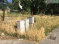 parco via mola bernardo degrado terni -20170607-0079