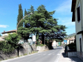 Albero pericoloso via Campomicciolo Terni - 21 maggio 2021