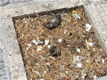 Degrado via Tre Monumenti, Terni - 18 agosto 2020 (1)