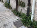 Degrado via Tre Monumenti, Terni - 18 agosto 2020 (2)