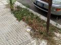 Degrado via Tre Monumenti, Terni - 18 agosto 2020 (3)