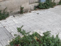 Degrado via Tre Monumenti, Terni - 18 agosto 2020 (7)