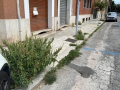 Degrado via Tre Monumenti, Terni - 18 agosto 2020 (9)