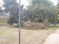 Degrado-zona-Le-Grazie-via-dei-Ciclamini-via-degli-Oleandri-Terni-settembre-2024-1