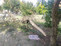 Degrado-zona-Le-Grazie-via-dei-Ciclamini-via-degli-Oleandri-Terni-settembre-2024-5