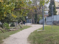 Degrado-zona-Le-Grazie-via-dei-Ciclamini-via-degli-Oleandri-Terni-settembre-2024-7