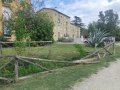 Degrado-zona-Le-Grazie-via-dei-Ciclamini-via-degli-Oleandri-Terni-settembre-2024-8