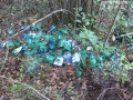 Discarica 'abusiva' nei boschi di Perticara - 21 gennaio 2016 (3)