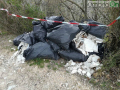 Discarica via Mola di Bernardo, Terni - 26 marzo 2018 (15)