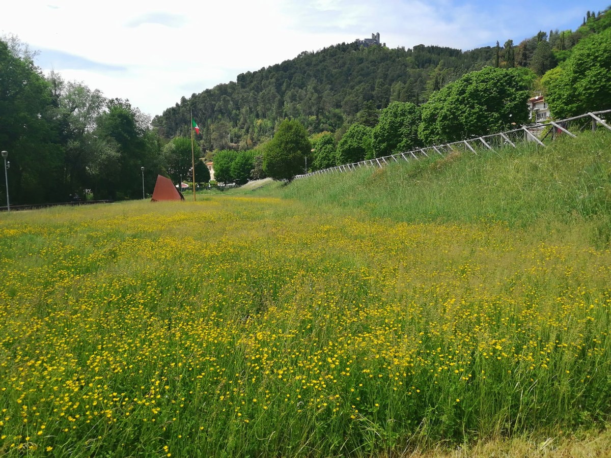 Erba alta Piediluco - 10 maggio 2020 (8)