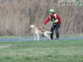 sasu esercitazione92 cane cinofila