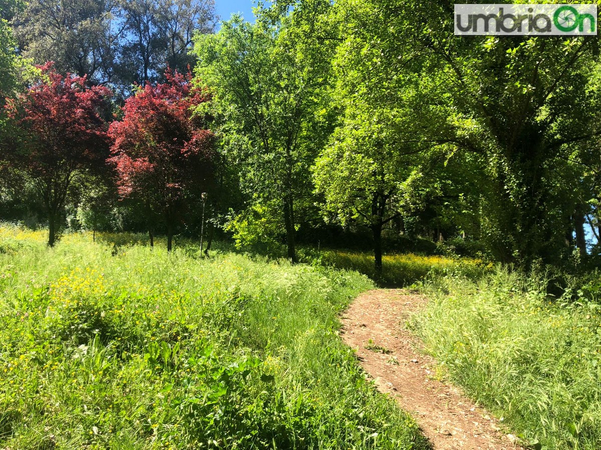 Le-Grazie-parco-covid-coronavirus-fase-due-2-Terni-verde-erba11