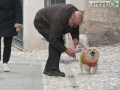 Collescipoli festa Sant'Antonio Abate 2023 cane benedizione44656565