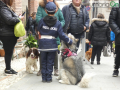 Collescipoli festa Sant'Antonio Abate 2023 cane bimbo