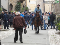Collescipoli festa Sant'Antonio Abate 2023 cavallo