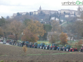 Festa sant antonio Collescipoli trattori trattoristi (7)