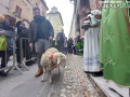 festa sant'antonio benedizione collescipoli pecora2