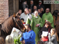 Festa Sant'Antonio Abate benedizione 2024 (1)