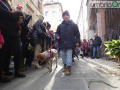 Festa Sant'Antonio Abate benedizione 2024 (17)