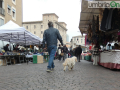 Fiera Cassero 2024 (11)