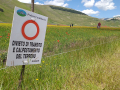 castelluccio norcia fioritura 2020