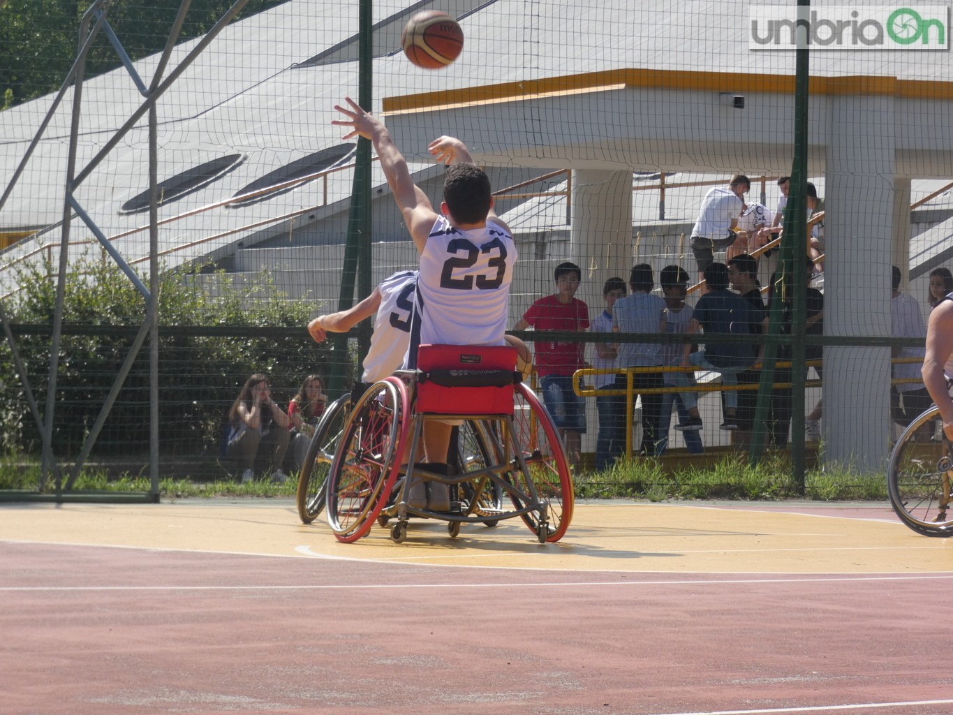 sport paralimpico Cip evento 90541 ()