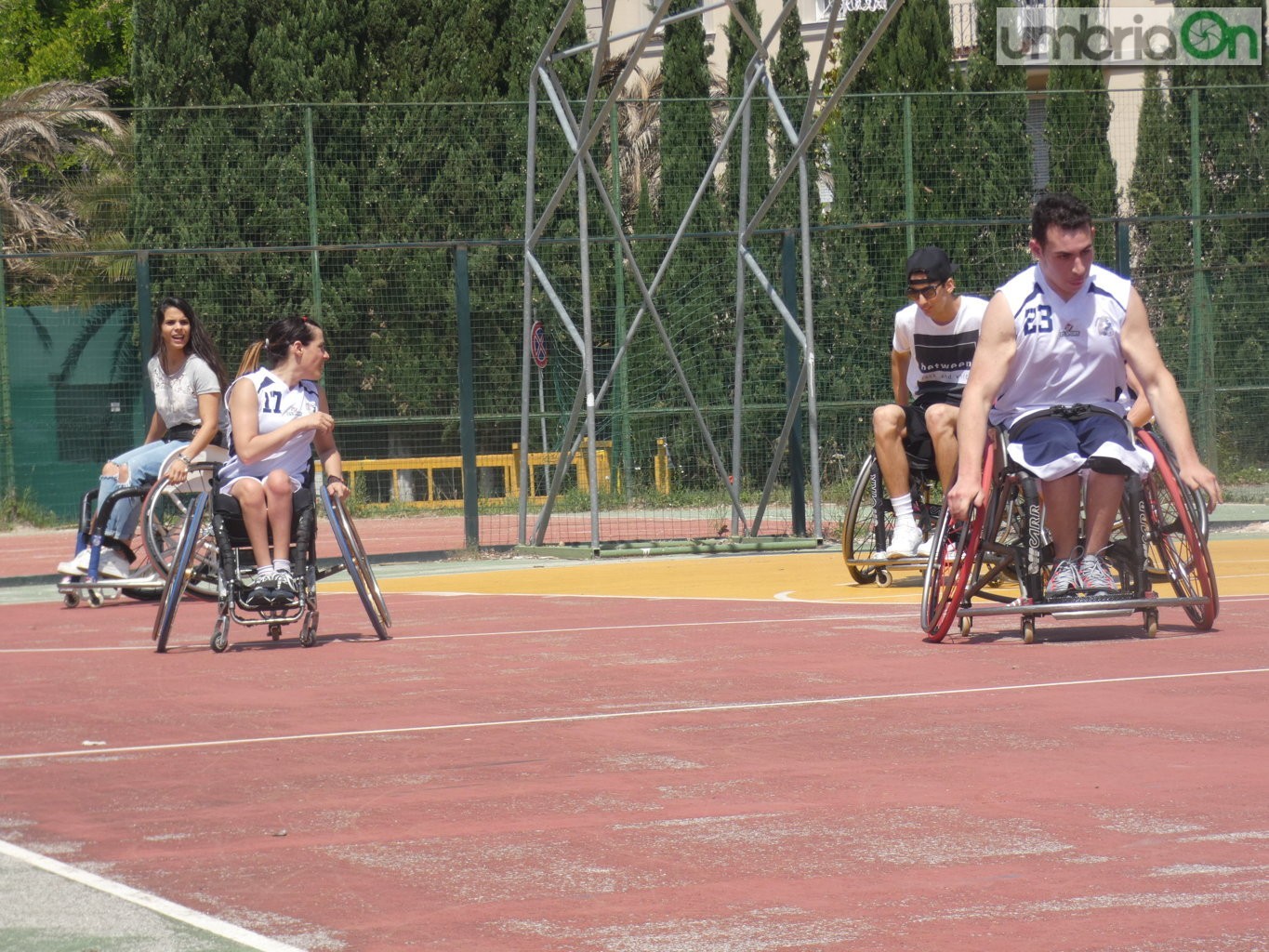 sport paralimpico Cip evento 90575 ()