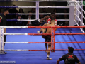 Kick Boxing Gori mondiale (5)