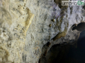 Grotta eolia (12)