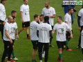 Leone-promozione-Ternana-fere-rossoverdi454545-Avellino