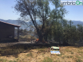 Colle-delloro-Terni-incendio233232