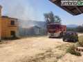 Colle-delloro-incendio-Terni2-1