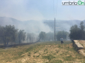 colle-delloro-incendio-Terni333