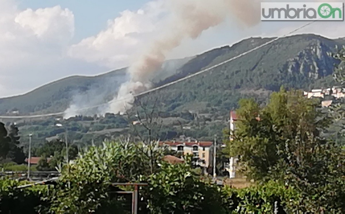 Incendio-Cesi-bosco