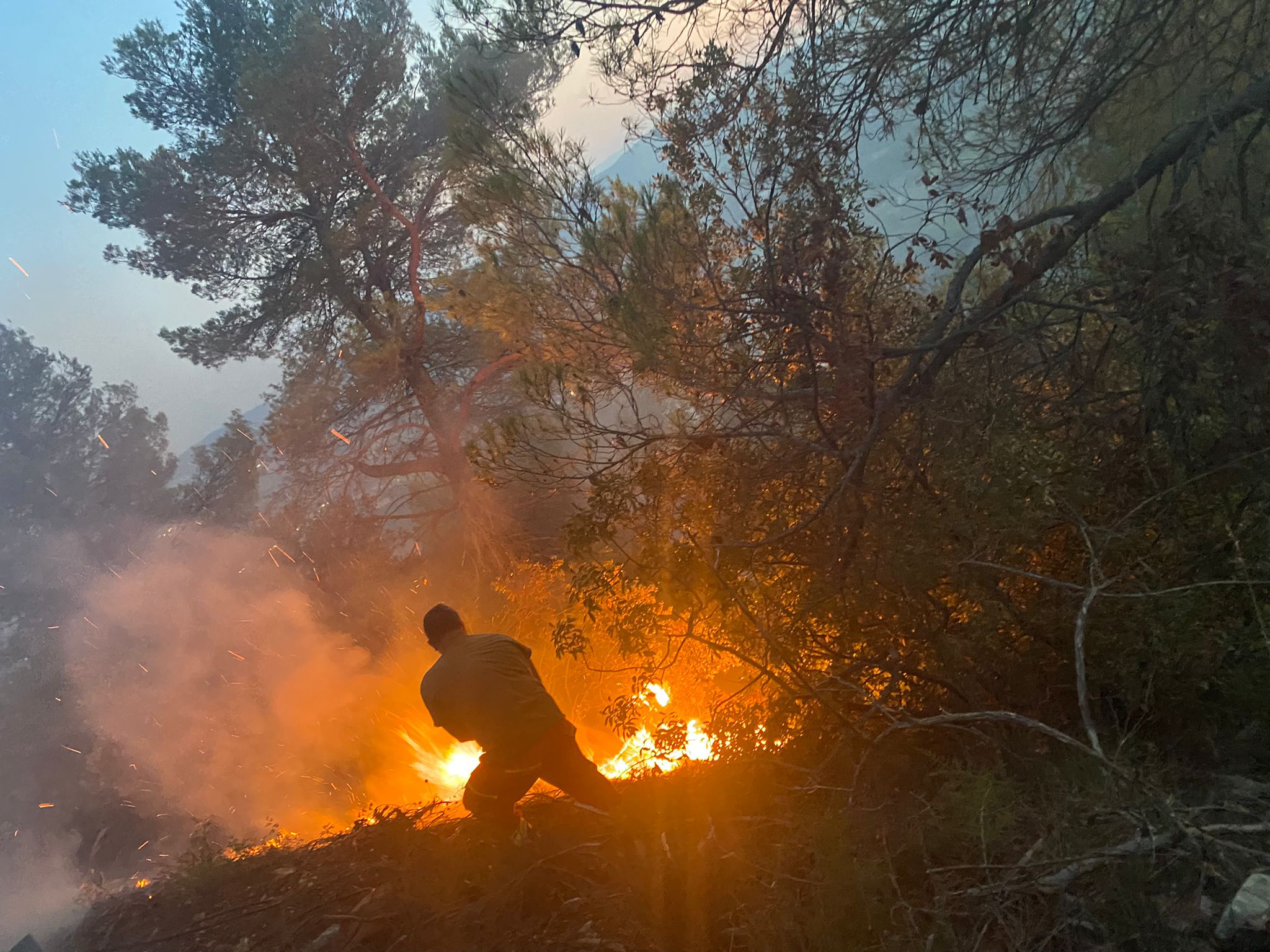 incendio-Cesifff-notte-fiamme-1