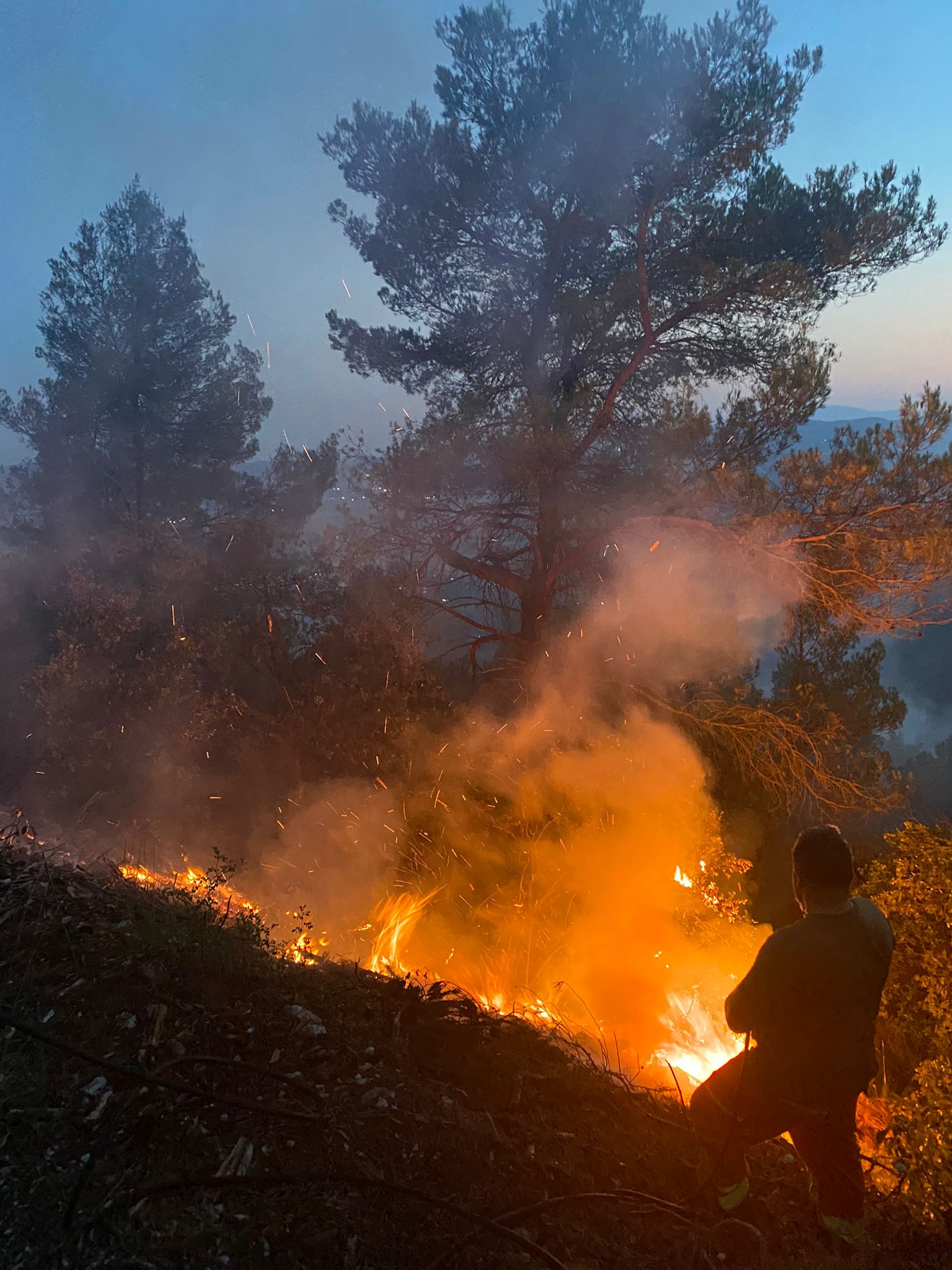 incendio-Cesifff-notte-fiamme-1iij