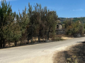 incendio-guardea-2022-agosto56342