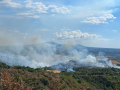 incendio-guardea-rogo-bosco